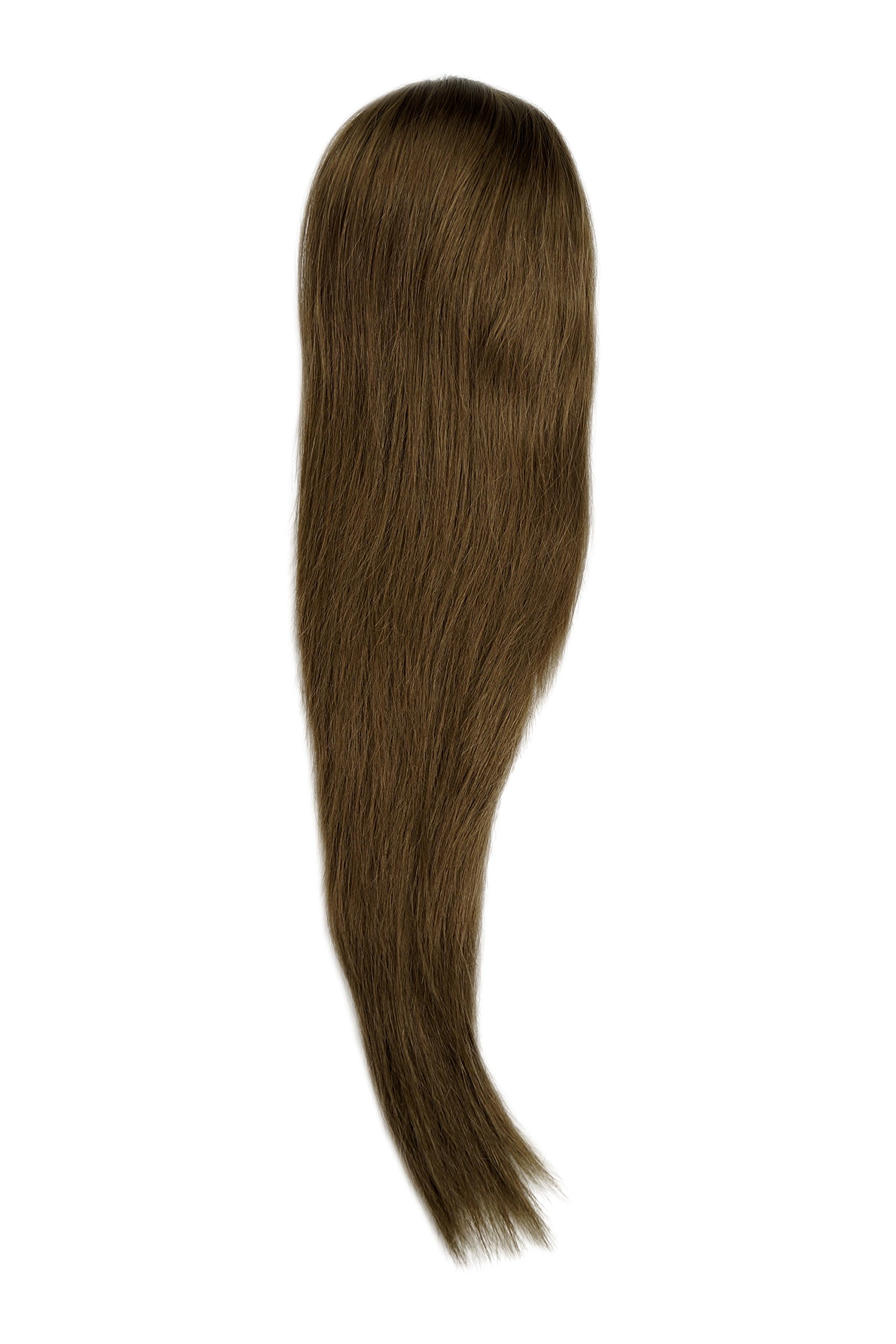 WIG ME UP WK06-12 Hairpiece ponytail with micro clamp, combs and elastic draw string straight voluminous very long medium gold brown 23inch
