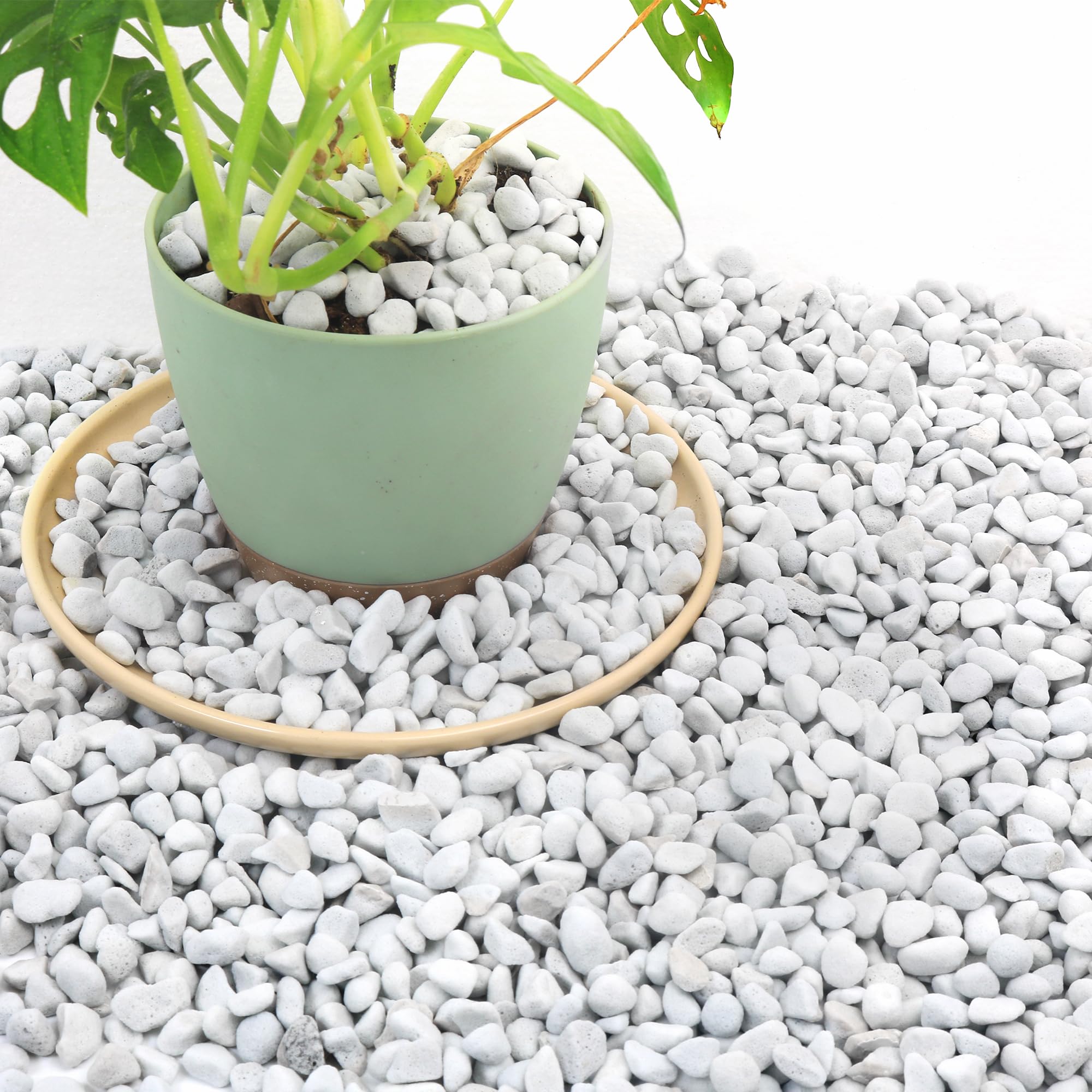 Photo 1 of 18 Quarts Chunky Perlite for Plant Soil Amendment for Potting Soil, Improves Drainage and Aeration for Soil, Ideal for Succulents, Orchid, Flower Plants (1/4 inch)