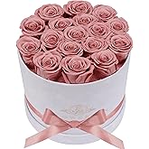 Prifroti 17 Flowers in a Luxury Suede Box, Birthday Gifts for Women, Preserved Flowers, Mothers Day Roses Gift for Mom, Dusty Rose