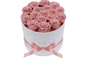 Prifroti 17 Flowers in a Luxury Suede Box, Birthday Gifts for Women, Preserved Flowers, Mothers Day Roses Gift for Mom, Dusty Rose