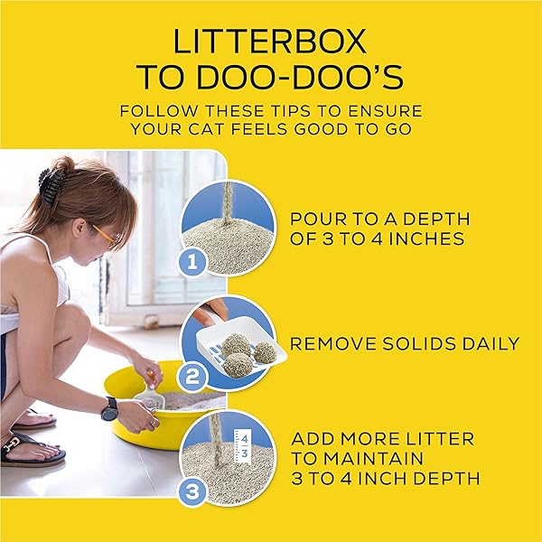 PURINA TIDY CATS LIGHTWEIGHT FREE AND CLEAN UNSCENTED, MULTI-CAT, CLUMPING, 99.9 PERCENT DUST FREE CAT LITTER – 17 LB. BOX