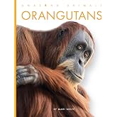 Orangutans (Amazing Animals)