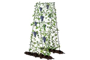 AlisisFores Garden Trellis for Climbing Plants, A-Shape Garden Plant Support Frame for Raised Bed Vegetables, Provides Support for Beans, Tomatoes and Cucumber, Black