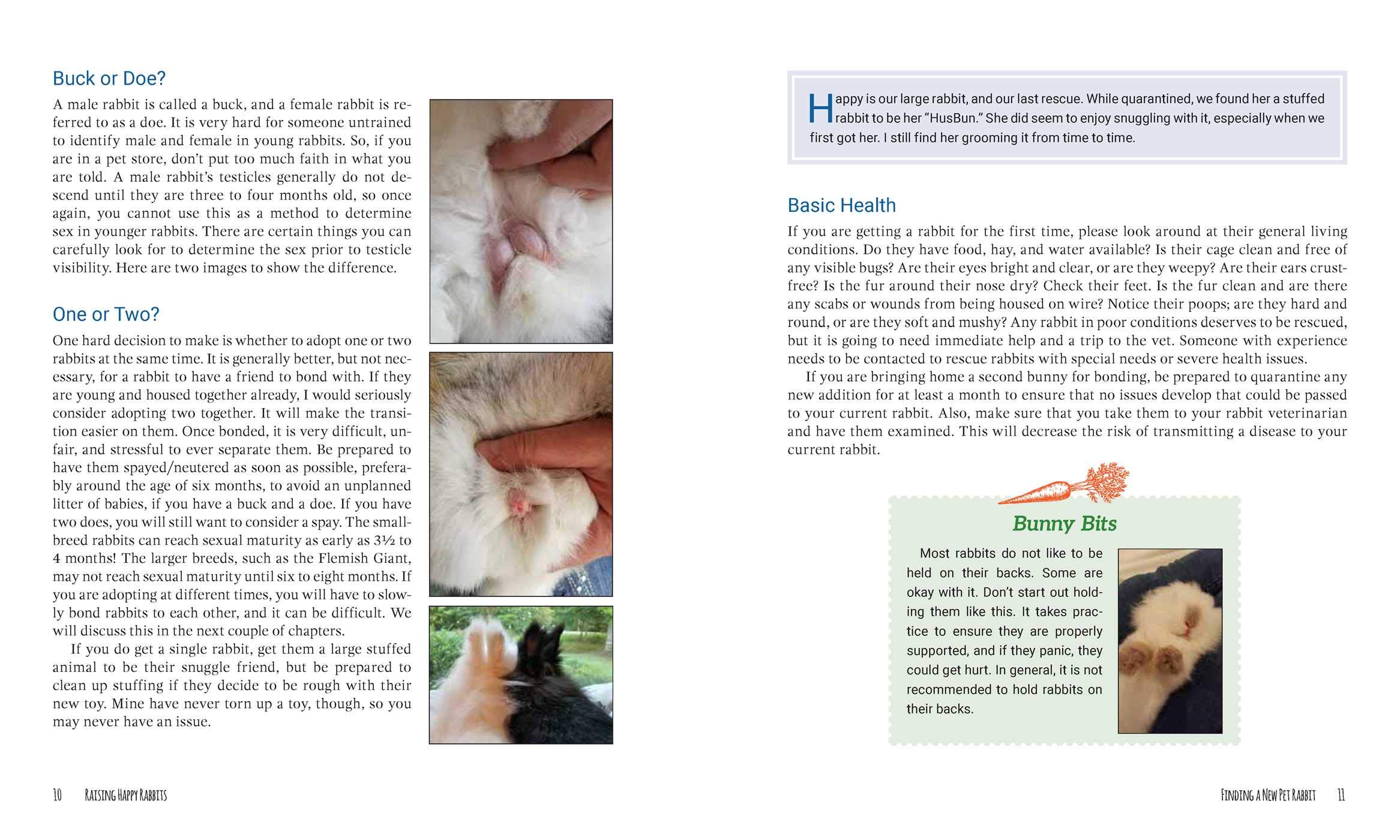 Raising Happy Rabbits: Housing, Feeding, and Care Instructions for Your Rabbit's First Year