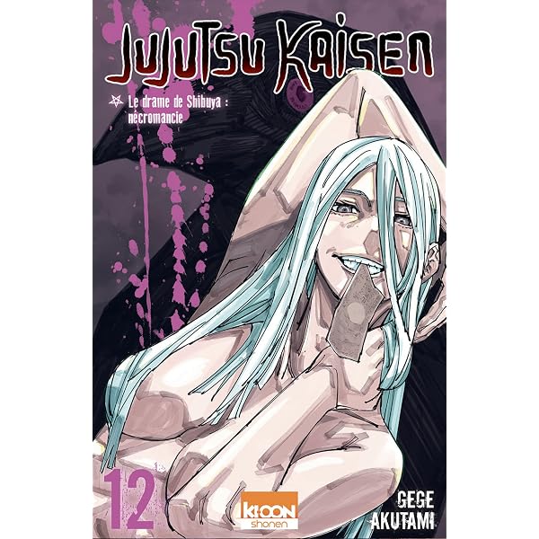 Amazon.com: Jujutsu Kaisen T13 (French Edition) eBook : Akutami