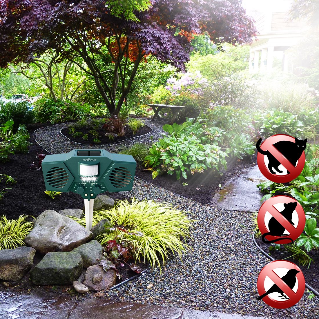 Amazoncom Ultrasonic Solar Animal Pest Repeller With 30