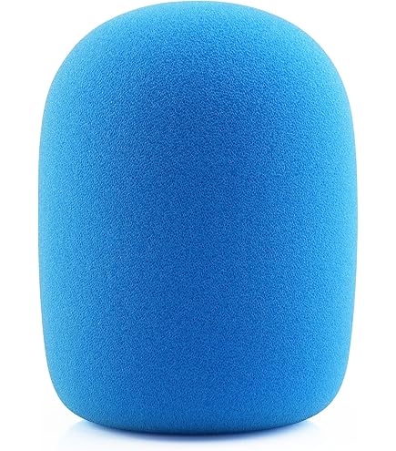 Amazon.com: Electro Voice WS-PL2 Foam Windscreen : Musical Instruments