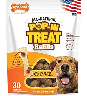 nylabone romp n chomp refills