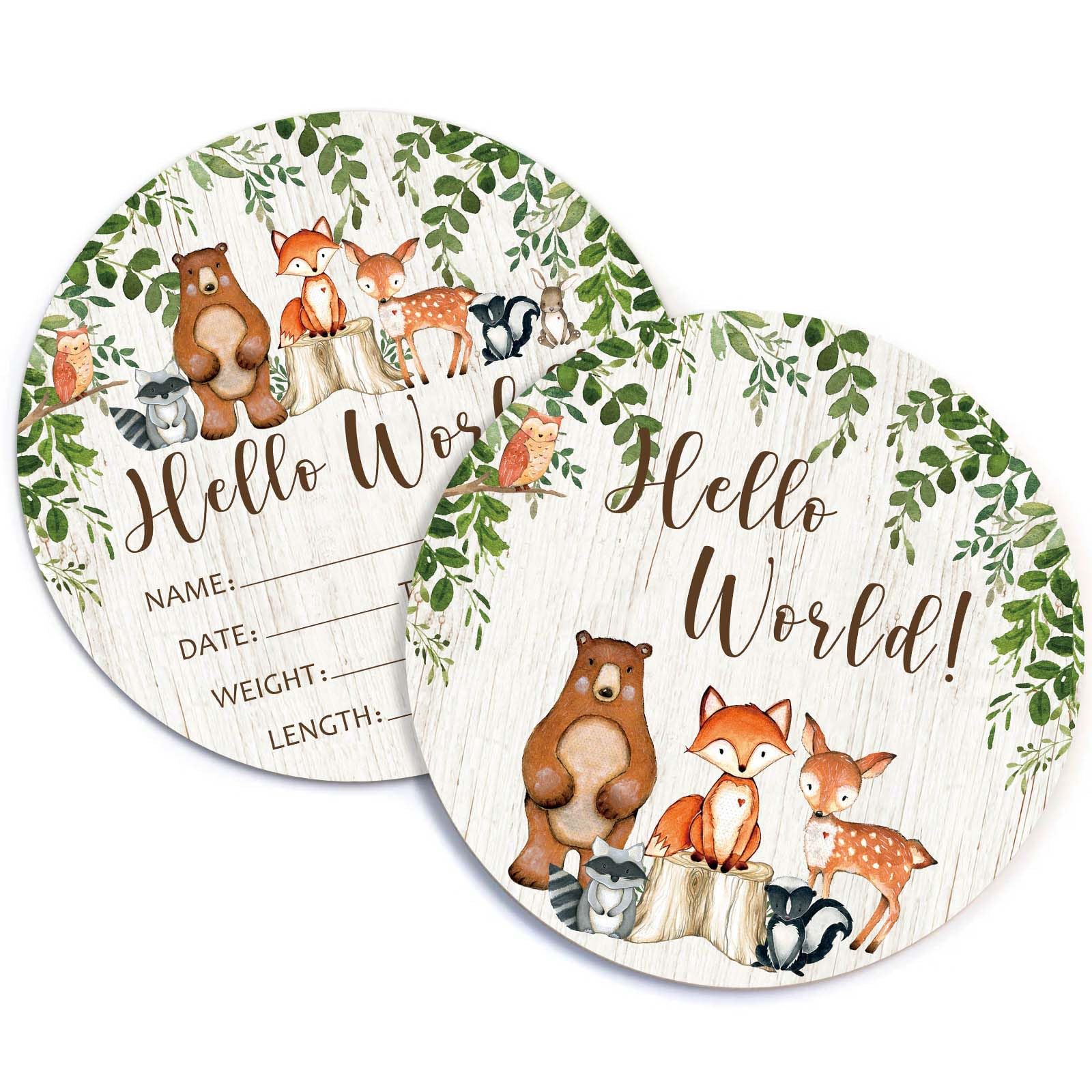 Birth Stat Sign for Newborn, Woodland Animals Baby Announcement, Forest Hello World Name Sign for Hospital Birth Announcement, Gift for New Mom, Baby Shower, Pregnancy Announcement, Photography Prop