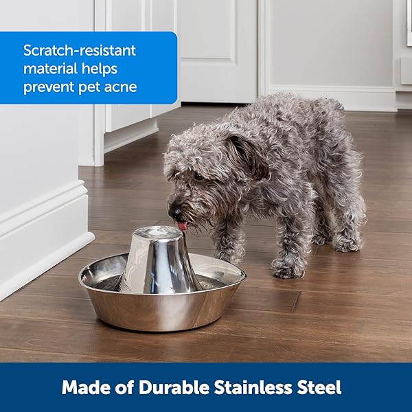 PETSAFE SEASIDE PET WATER FOUNTAIN (60 OZ/1.8L WATER CAPACITY) STAINLESS STEEL CAT WATER FOUNTAIN, HELPS PREVENT PET ACNE, SCRATCH AND RUST-RESISTANT MATERIAL