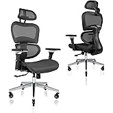 Nouhaus Ergo3D Ergonomic Office Chair Lumbar Support Mesh Office Chair with 4D Adjustable Armrest, Adjustable Headrest and Wheels, Mesh High Back Home Office Desk Chairs(Black)