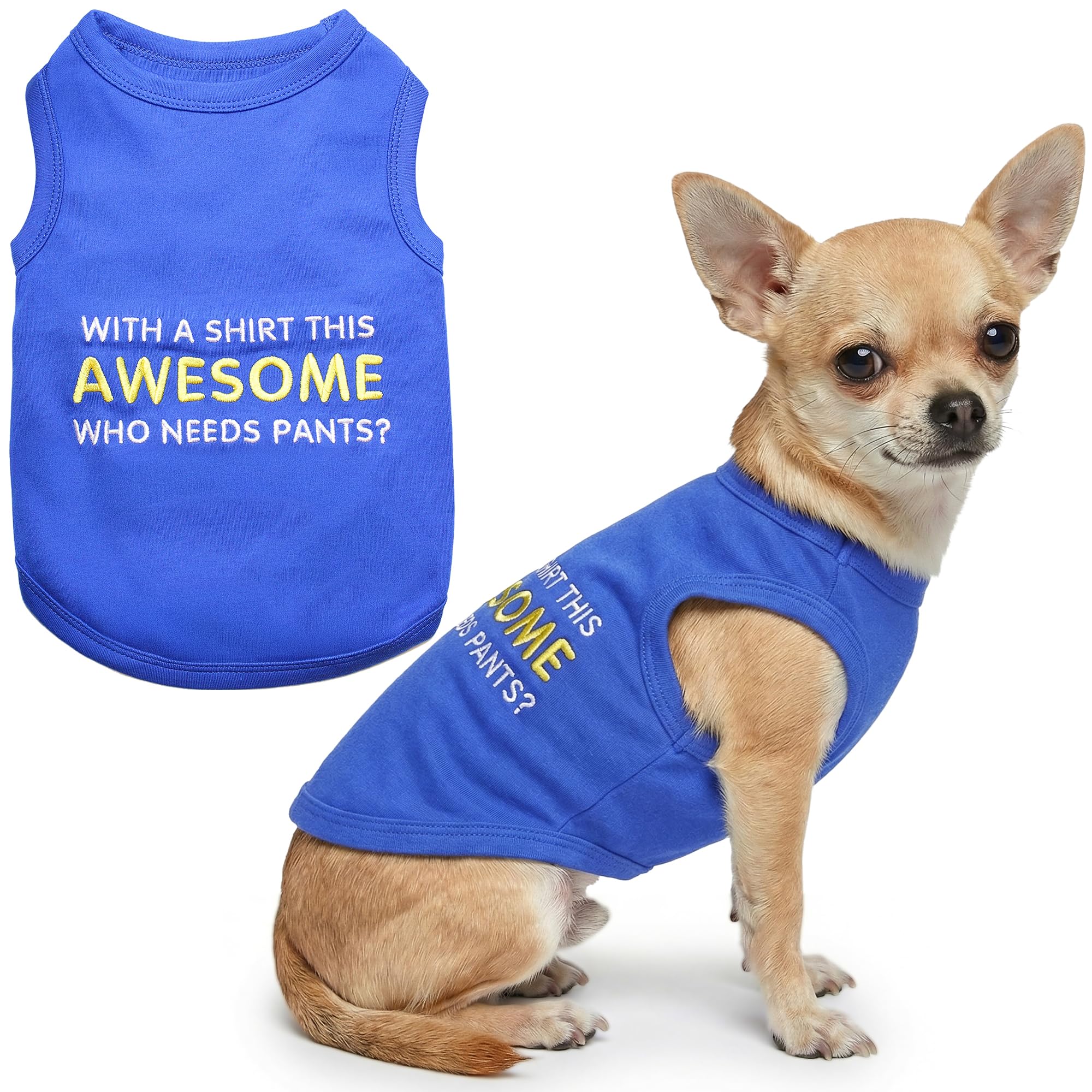 Parisian Pet Awesome Dog T-Shirt, Small