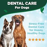 Vet's Best Breath Freshener Water Additive Dogs 500ml view 6