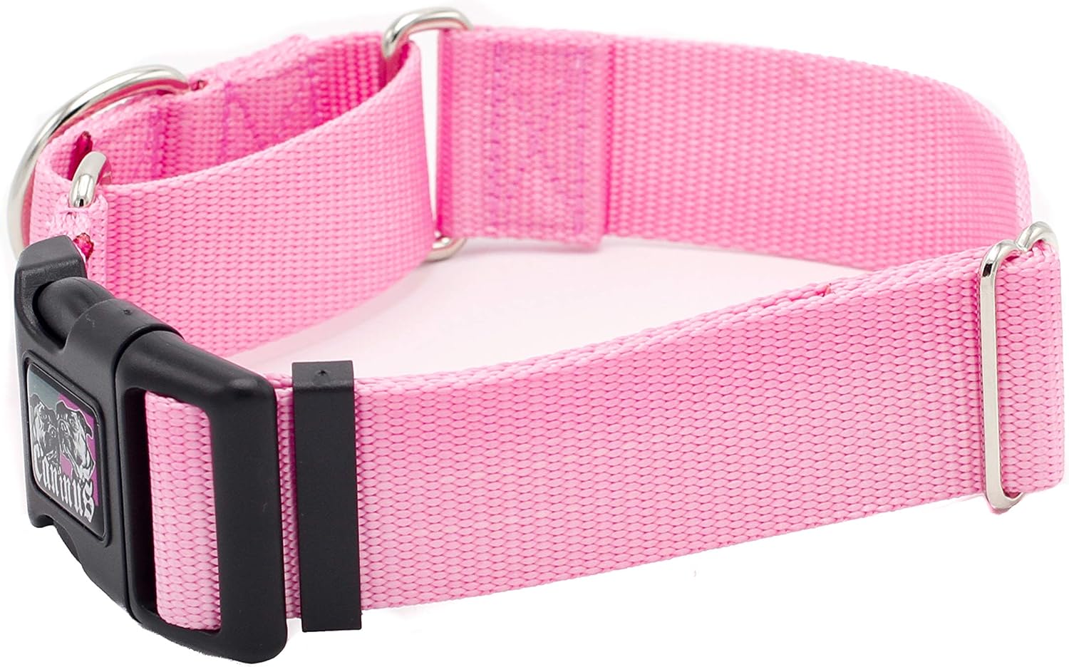 2 inch martingale collar