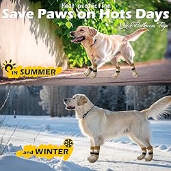 EXPAWLORER Anti Slip Dog Socks to Prevent Licking