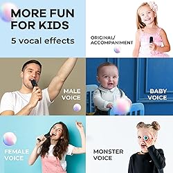 YLL Mini Karaoke Machine with 2 Wireless