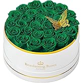 27 Preserved Roses Forever Flowers Real Roses in a Box Mother's Day Birthday Flowers for Her Mom Women Wife Valentine's Day, Green Roses