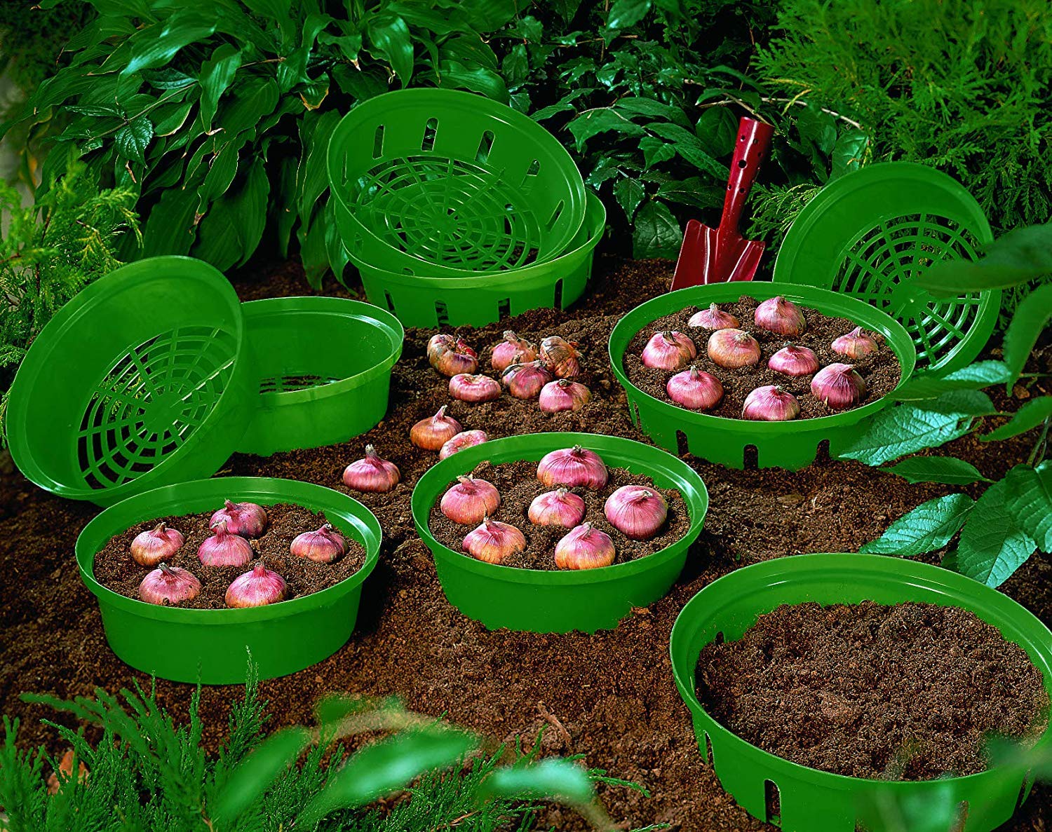 Bulb Basket for Easy Bulb Planting and Lifting Leaving No Stray Bulbs for Crocus Snowdrops Tulip & Daffodils 10 x Bulb Baskets by Thompson and Morgan — image 1