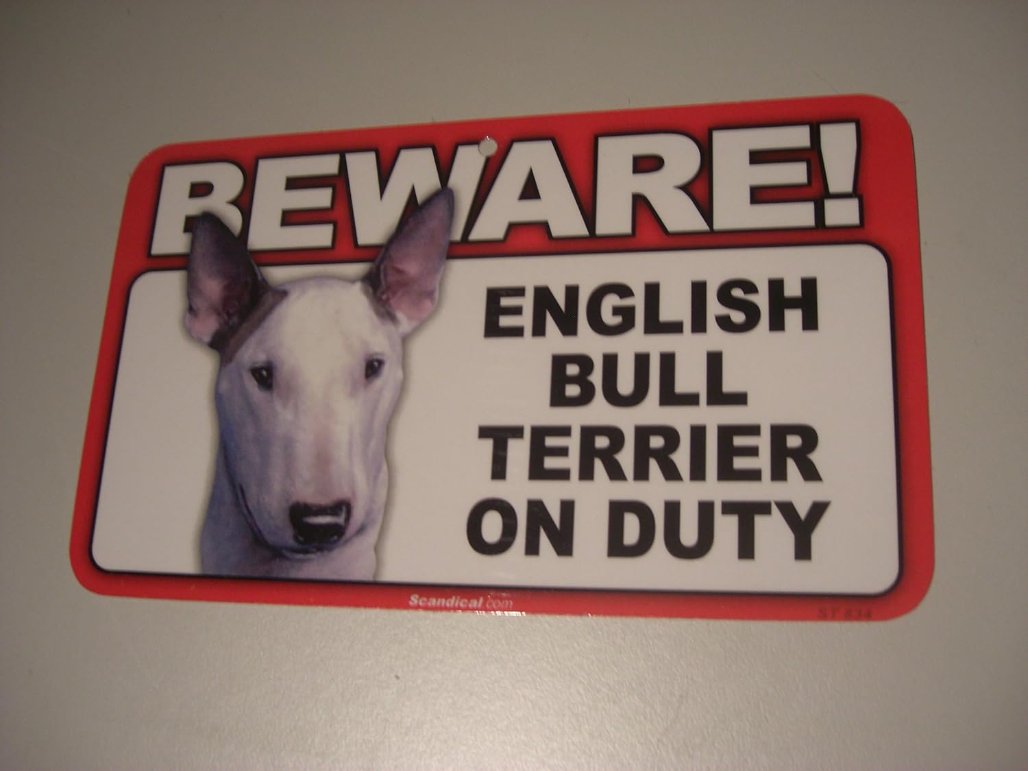 bull terrier as guard dog