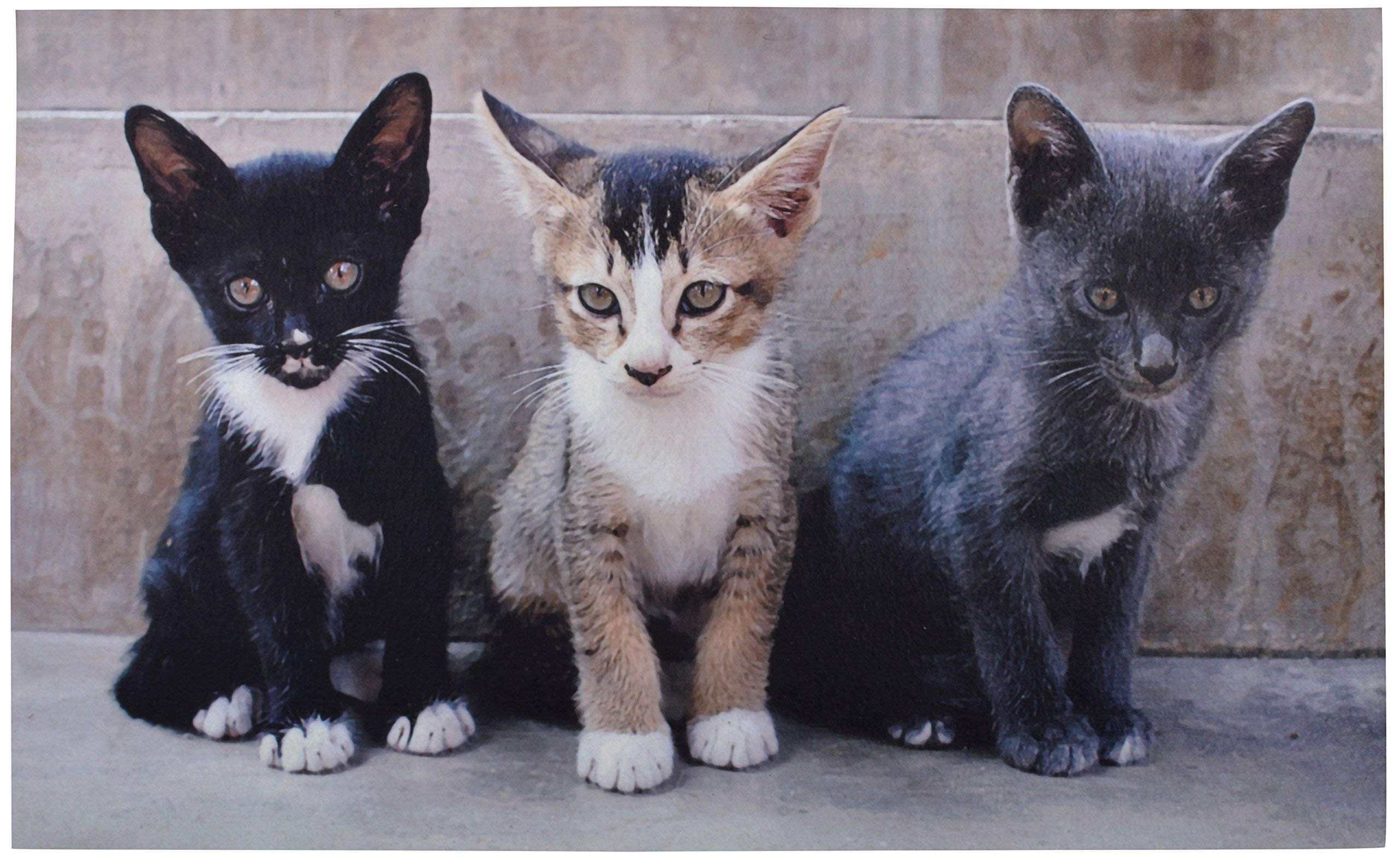 Esschert Design Doormat kittens, RB142, Polyester, Multi-color, 75x45x0,5 -