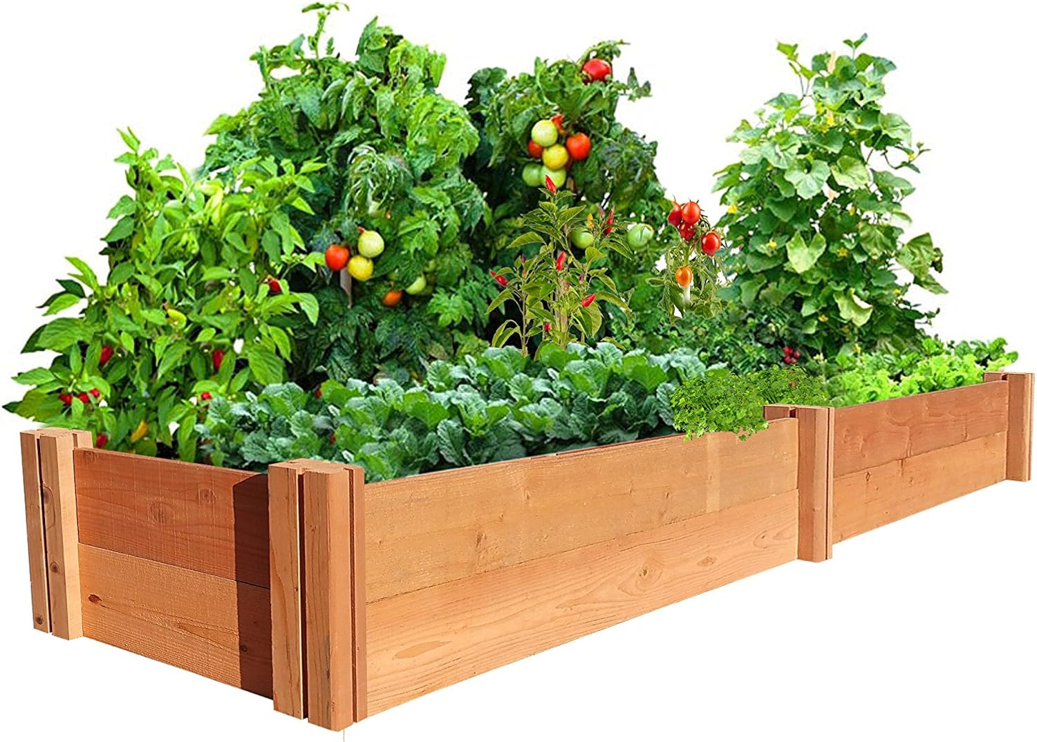 Best Redwood Cedar Raised Garden Bed