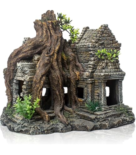 Amazon.com: imagitarium by Petco Resin Cambodian Ruin Aquatic