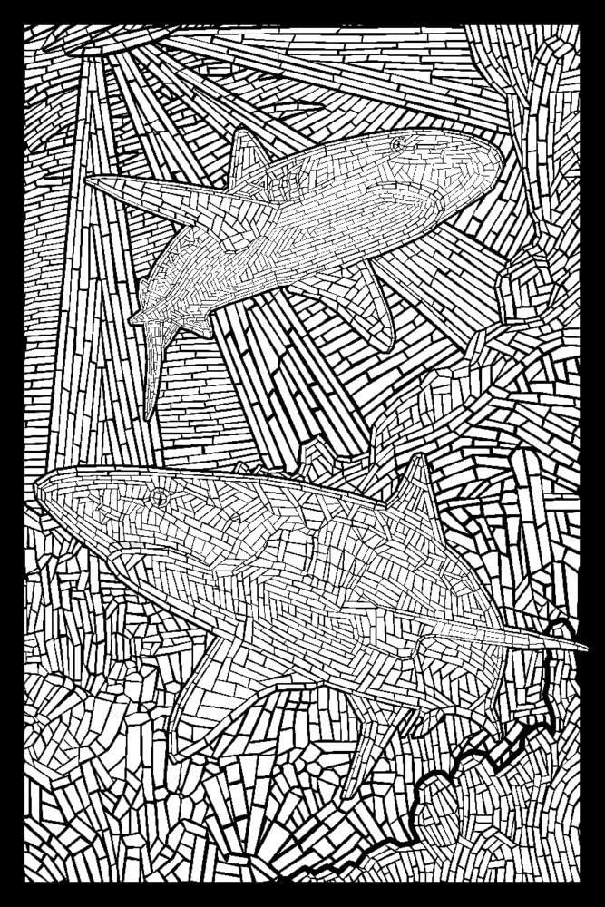 Black Tip Reef Shark - Coloring Book (9x12 Art Print, Wall Decor Travel Poster)