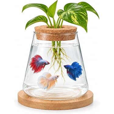 Amazon.com New Releases: The best-selling new & future releases in