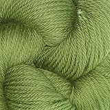 CascadeYarn 220 Superwash Sport 0841 Moss