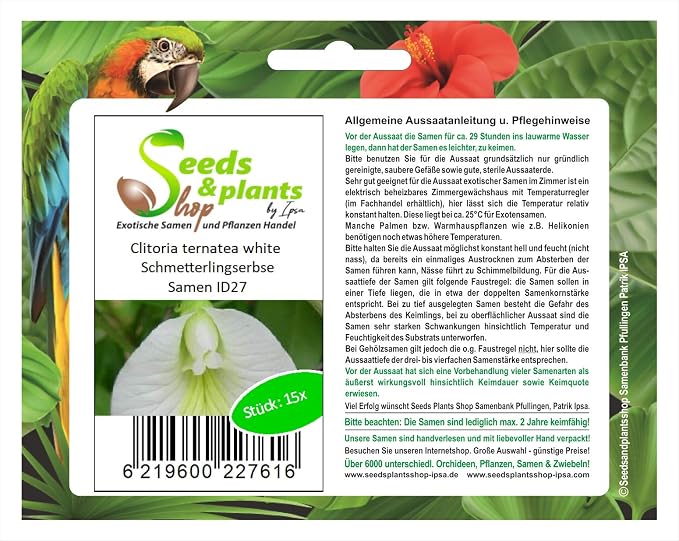 15 Clitoria ternatea blanco semillas jardín de arbusto del ...