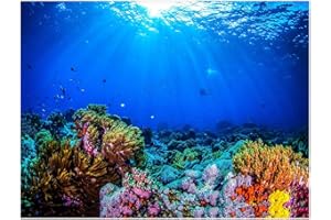 SUZM 3D Aquarium Background, PVC Static Cling Terrarium Background for Reptile Marine Life, Undersea Landscape Theme Poster Stickers, 30" x 18"