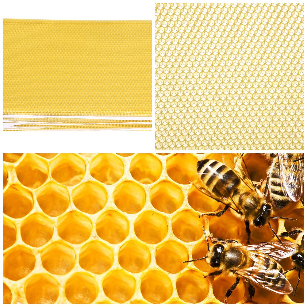 Foundation, 30PCS Beekeeping Nest Box Foundation Beeswax