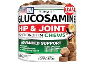Glucosamine for Dogs - Hip and Joint Supplement for Dogs - 170 Ct - Glucosamine Chondroitin Chews - Joint Pain Relief Supplem