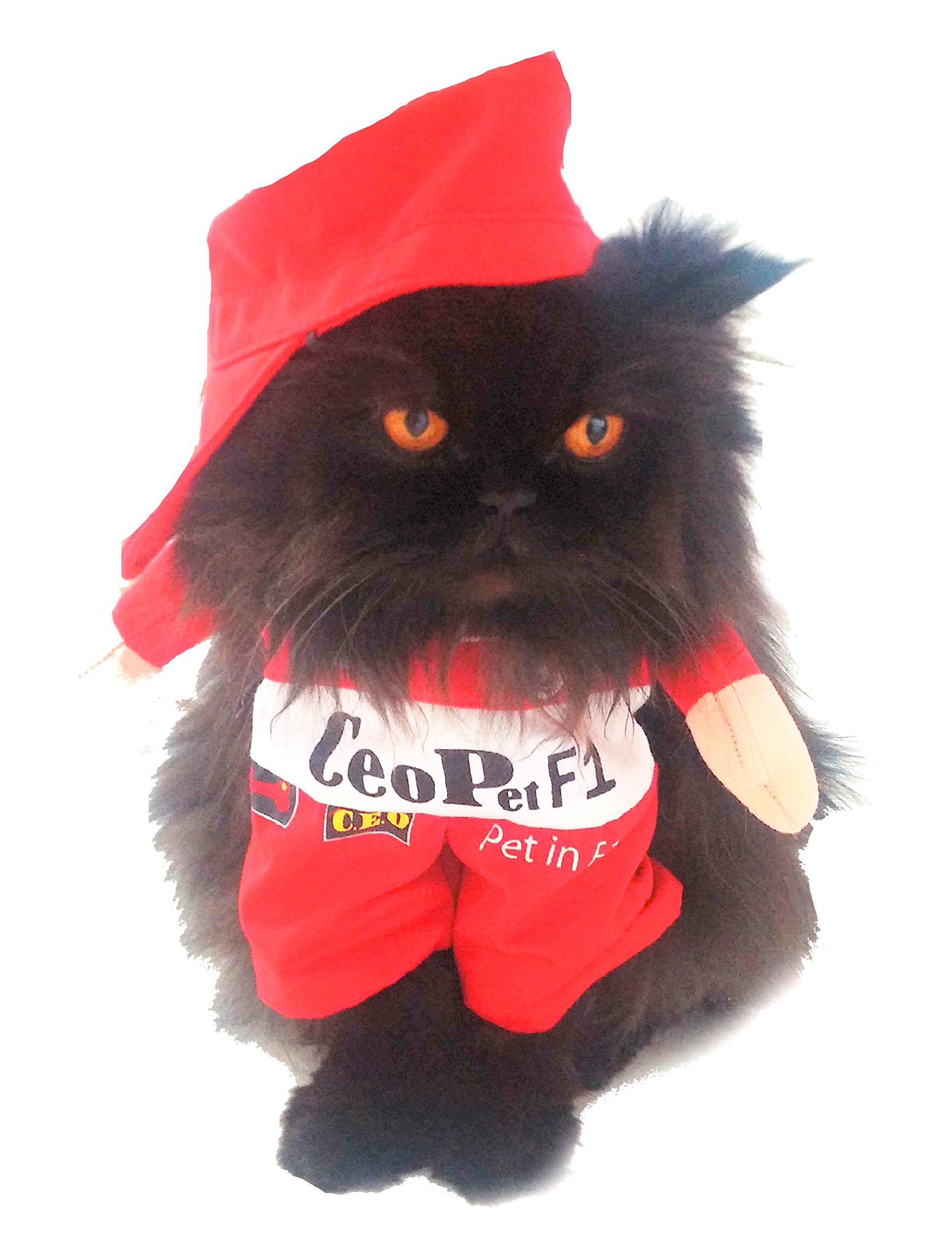 Cute Funny SMALL DOG ONLY Doggie Puppy Cat Accessories Halloween Outfit Fleece Warm Winter Girl Boy Jumper Coat Clothes Hoodies Fancy Dress Costume Ideas Pullover Racing Car Driver Small