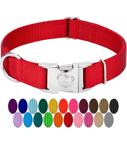 Amazon.com : Country Brook Petz - Premium Nylon Dog Collar with