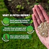 Envii Patch Repair Grass Seed Mix 400g Treats Up to 50 Patches UK Climate view 4