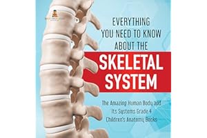 Everything You Need to Know About the Skeletal System | The Amazing Human Body and Its Systems Grade 4 | Children's Anatomy B