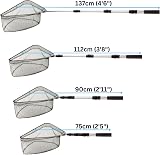 Blagdon Telescopic Folding Pond Net with Aluminium Pole 44cm-137cm view 4