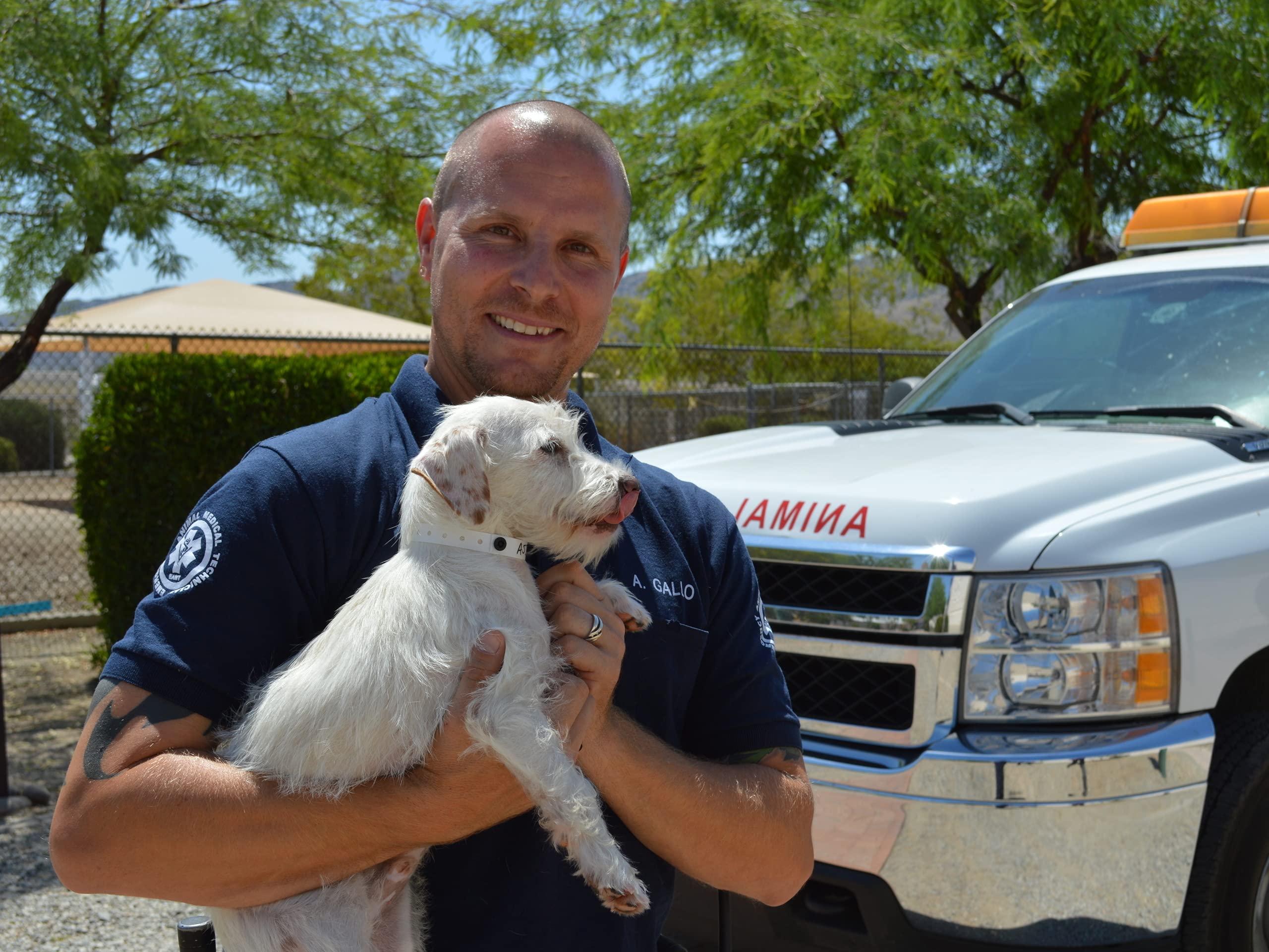 Watch Animal Cops Phoenix Season 4 Prime Video