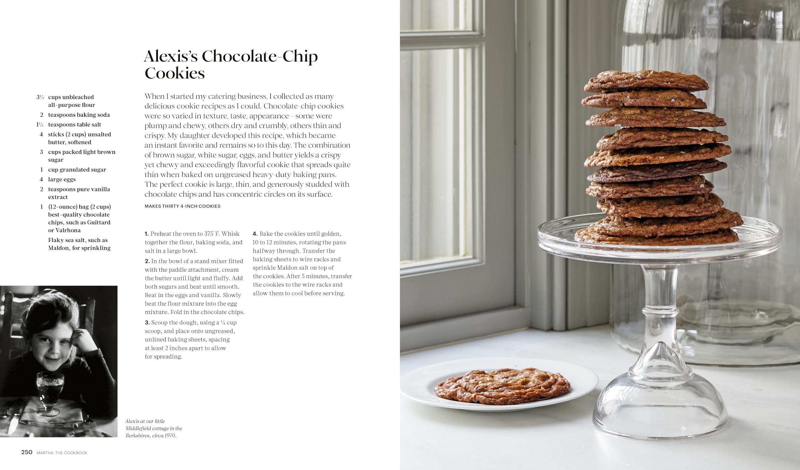 Martha: The Cookbook: 100 Favorite Recipes, with Lessons and Stories from My Kitchen