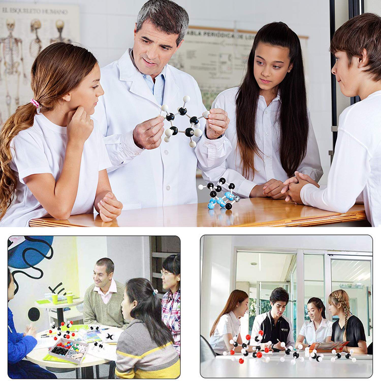 RELIANCER Molecular Model Kit,444PCS Organic Molecular Chemistry Set w/C60,Atoms,Bonds,Molecular Structures Building Kit for Chemistry Learning,STEM Science Kits for Teachers,Students,Young Scientists