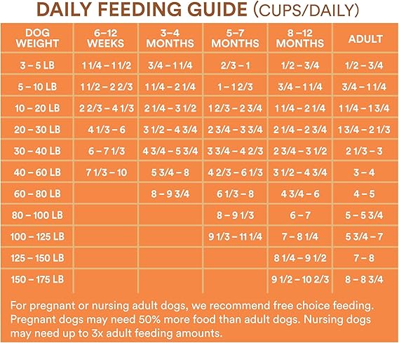 wholehearted feeding guide