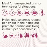 Beaphar CatComfort Calming Spot-On for Cats 3 Pipettes Reduces Anxiety view 4