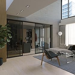 Doors 55 Glass Room Divider Panel and Partition