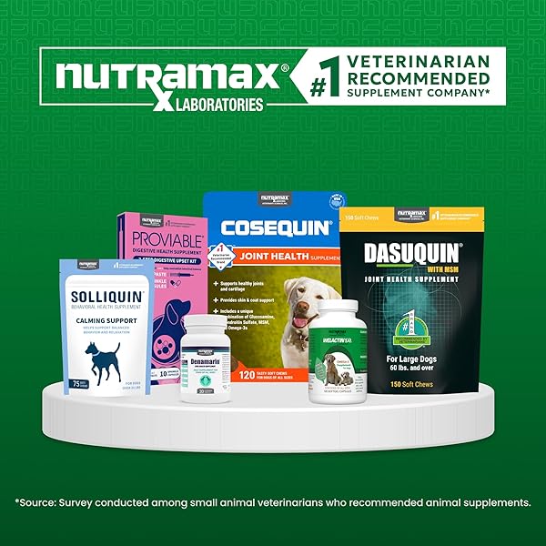 NUTRAMAX SOLLIQUIN CALMING BEHAVIORAL HEALTH SUPPLEMENT FOR SMALL TO MEDIUM DOGS AND CATS – WITH L-THEANINE, MAGNOLIA / PHELLODENDRON, AND WHEY PROTEIN CONCENTRATE, 75 SOFT CHEWS
