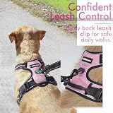 rabbitgoo Dog Harness Medium No Pull Front & Back Clips Reflective Pink view 6