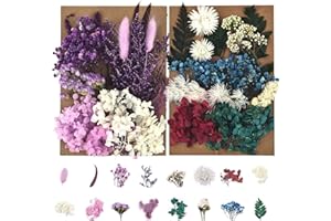DALARAN Dried Pressed Flowers for Soap Candle Making and Resin Jewelry Making Pressed Flower (Purple Blue Set)