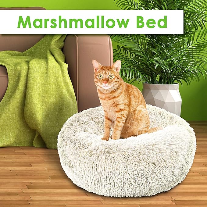 best cat beds amazon