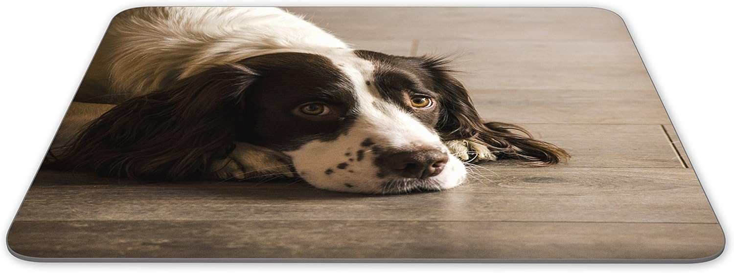 Destination Vinyl Ltd Beautiful Springer Spaniel Dog Mouse Mat Pad - Puppy Dogs PC Computer #8725, Multicolor - Image 3