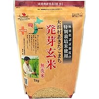 特別栽培米 大潟村あきたこまち 発芽玄米鉄分 1kg